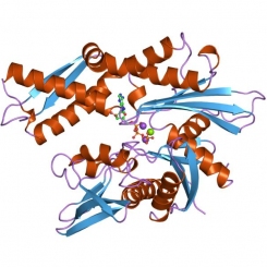 Шаперонотерапия